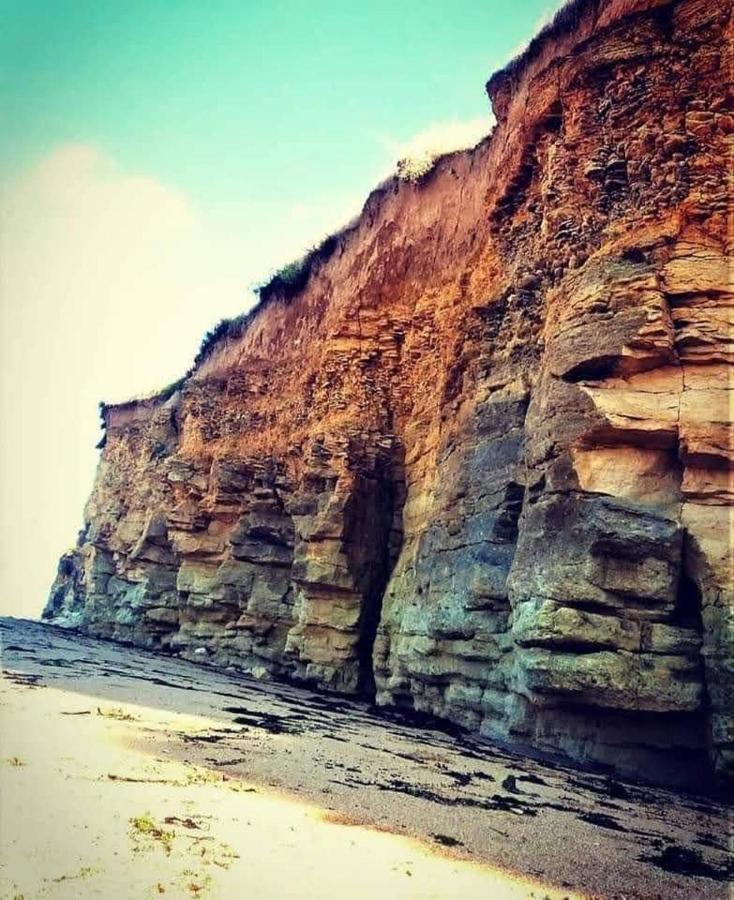 L'Appart' Du Bord De Mer 150M De La Plage ليو سور مير المظهر الخارجي الصورة